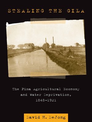 cover image of Stealing the Gila